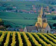 #Dry Champagne Producers Champagne Region France