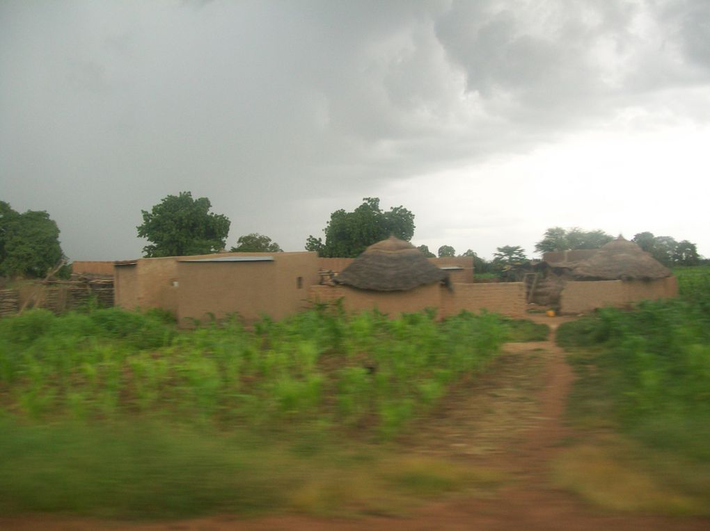 Découverte de la région de l'Est, tout près des frontières nigérienne et béninoise et presque au coeur des parc de l'Arly et du W...