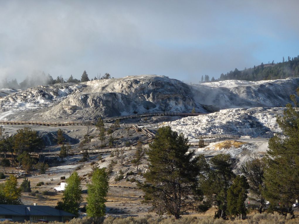 Album - 15.Yellowstone (Wyoming-octobre)