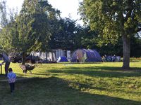 Le camping avec quelques tentes et caravane installées sous les arbres