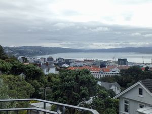 La baie de Wellington