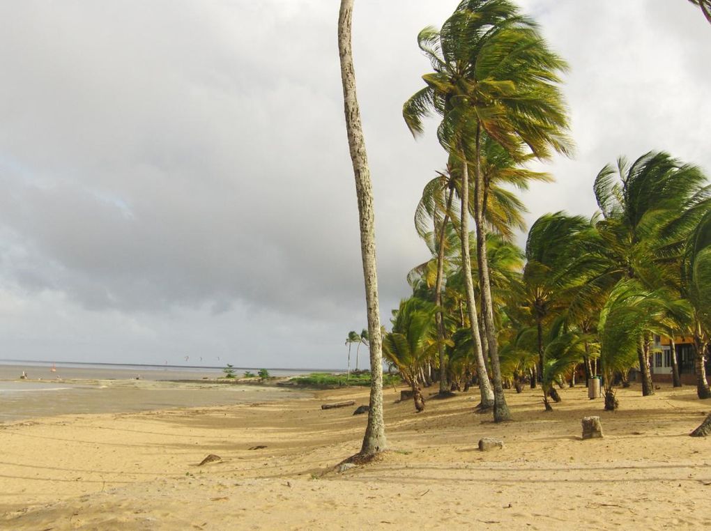 Voici quelques photos de cette première journée guyanaise ! Au programme balade à la pointe des Roches (à la pointe Est de Kourou) où se trouve le phare Dreyfus. Ce phare permettait de communiquer avec le bagne (les Iles du Salut) par sémaphore