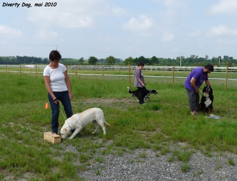 Education canine au centre Diverty Dog, mai 2010