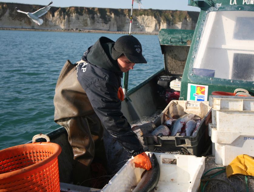 Sortie en mer du 19 Août avec Anthony, à bord de son bateau "La Pomme". 
