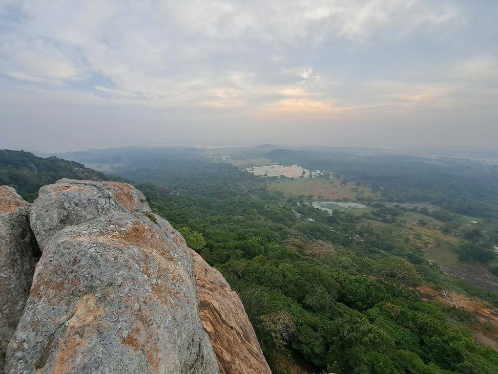 Le Sri-Lanka : Une perle de l'Océan Indien à découvrir