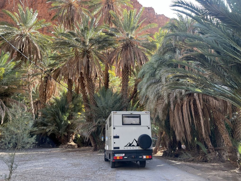 Des berbères aux saharaouis ...