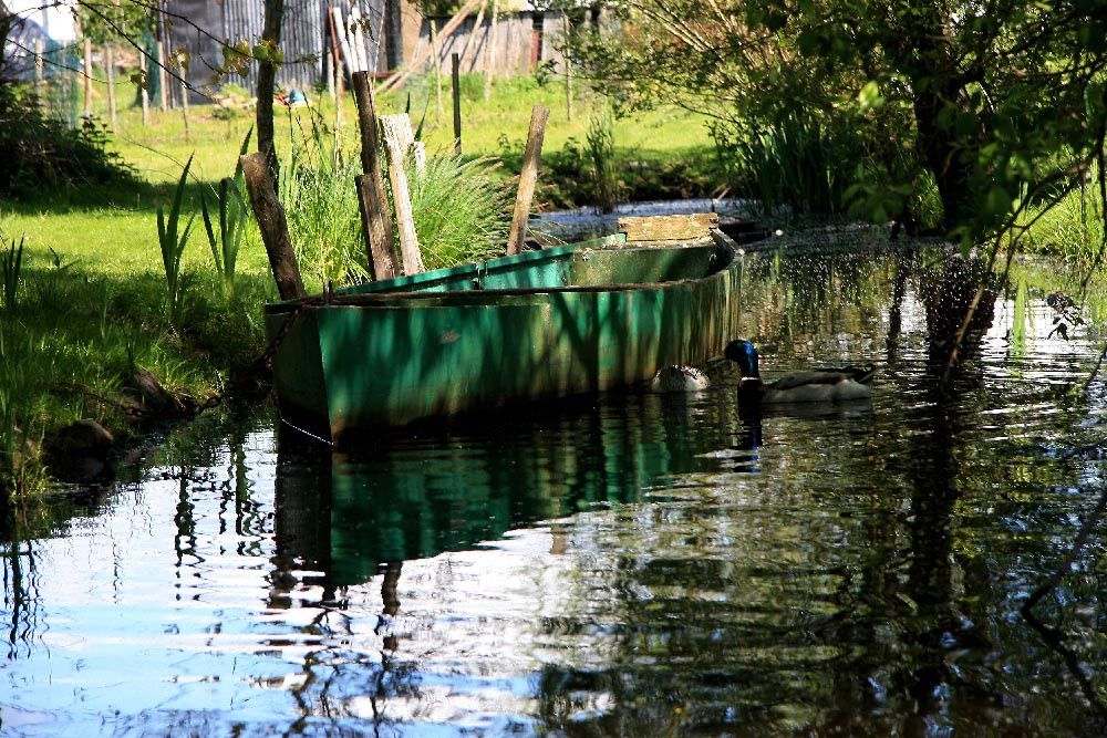 Album - Les marais de la Grande Briere