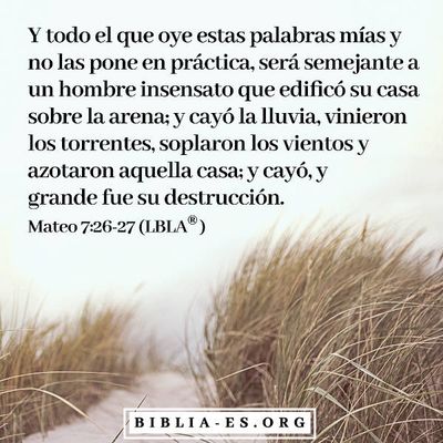 Evangelio de hoy sábado 18 de agosto de 2018 | Mateo 7:26-27