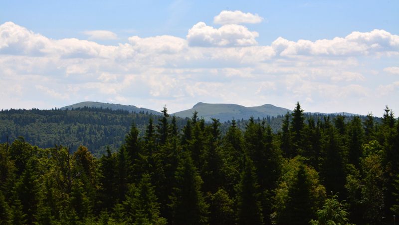 Marche de printemps à Gérardmer - le 19 juin 2022