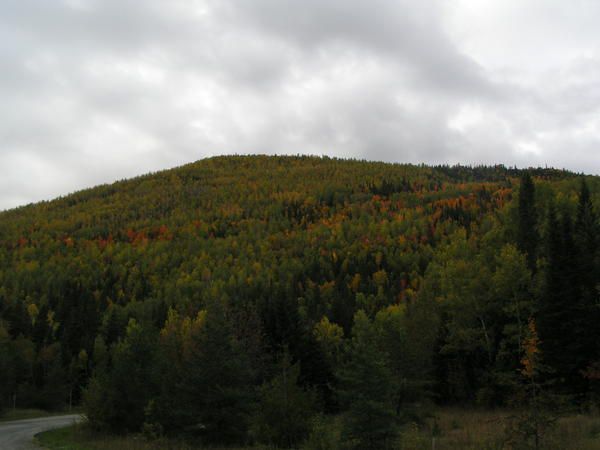 Dans la parc de la Gaspésie