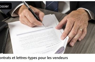 Paruvendu : votre compagnon immobilier pour des décisions éclairées