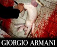 Fourrure=meurtre. Lapins tués pour Giorgio Armani. Et tant d'autres couturiers sans scrupules.Ecrire.