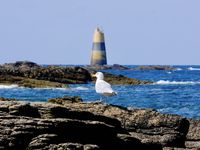 La balise à feu fixe, première avant-garde des récifs tueurs, a néanmoins évité à de nombreux navires de se laisser embarquer dans les courants et tourbillons dévastateurs des écueils redoutables des "Chiens Perrins".