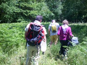 La Vallée de la Mole a fêté la nature