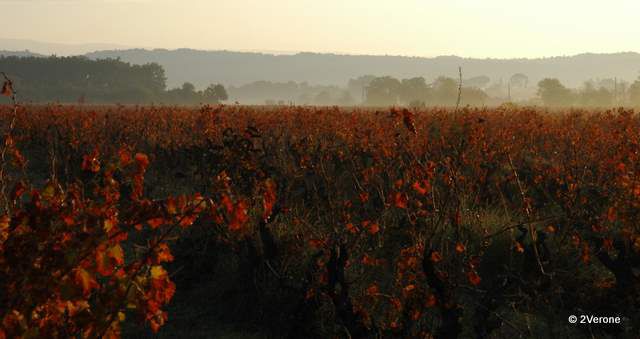 Album - Regard Paysages