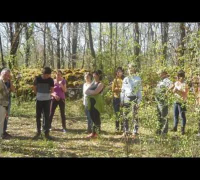 Les stages vus de l'intérieur, témoignage de Frédérique