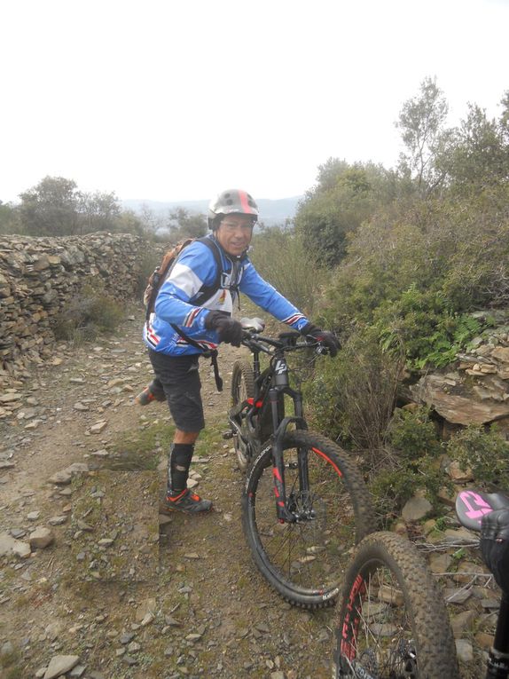 Samedi 11 Février, Flèche bleue à Millas