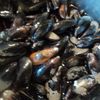Tajine de poissons et fruits de mer à l'huile d'argan