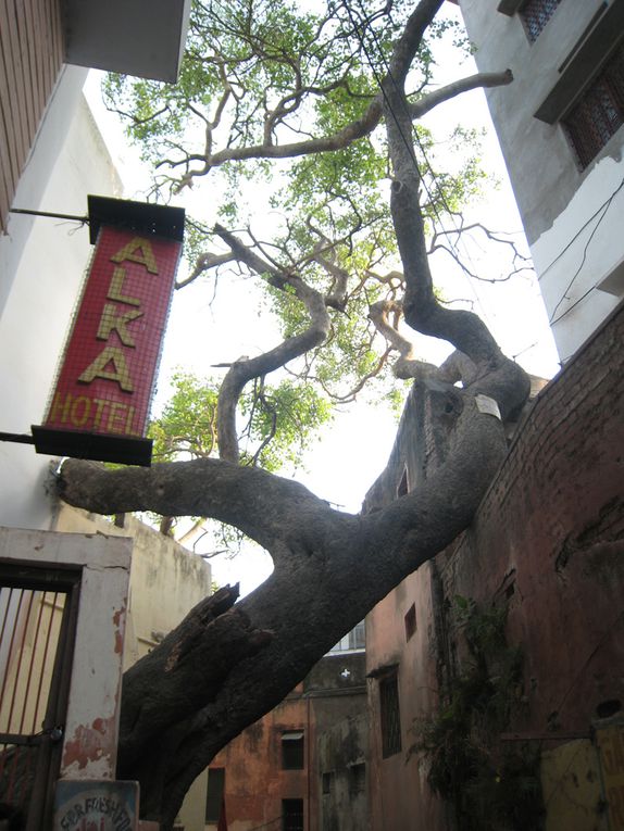 Album - Inde, Varanasi