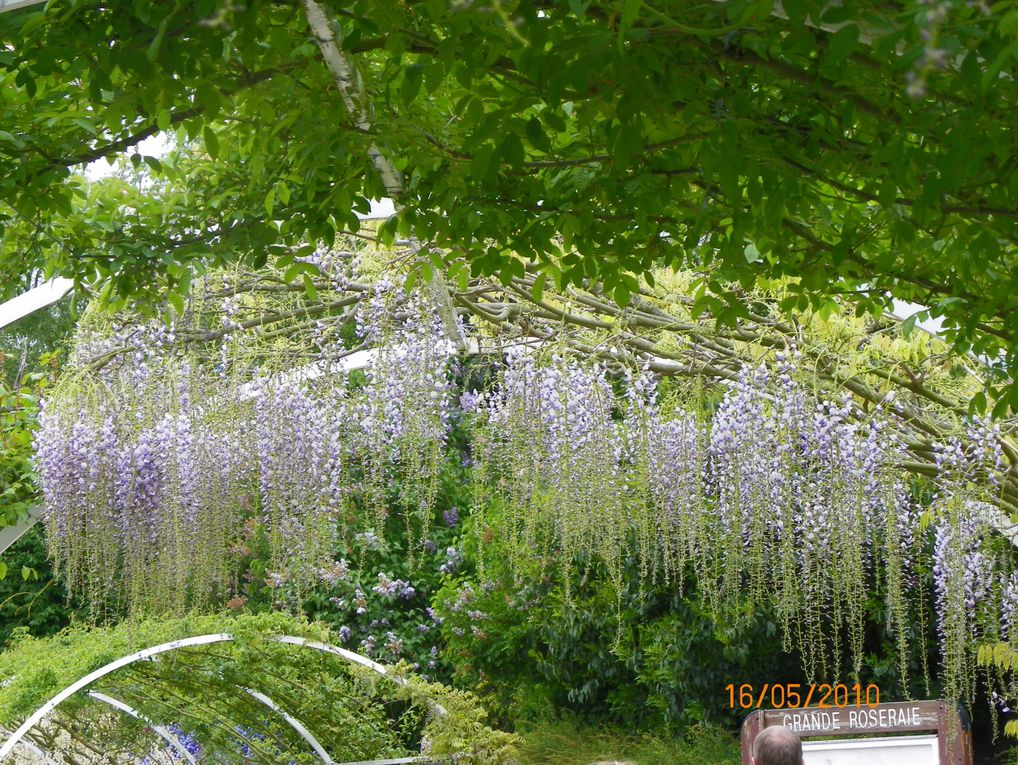 Magnifique jardin que ce parc floral de la colline aux oiseaux, allez-y vous ne serez pas déçus.