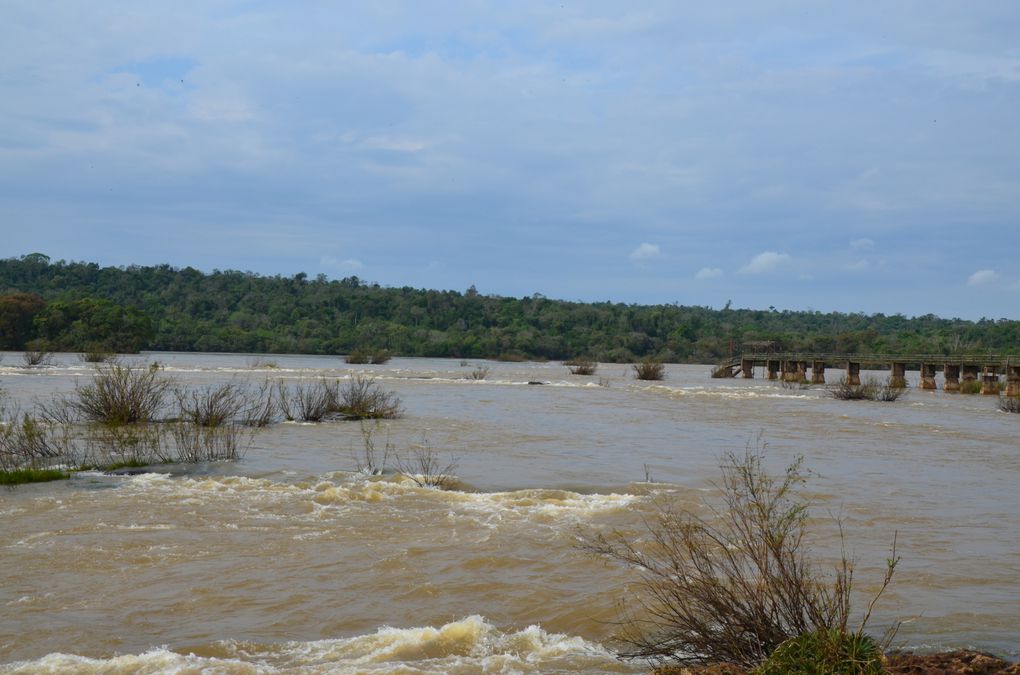 Album - Iguazu-y-Posada