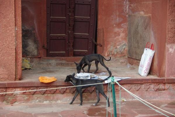 Album - Agra et Alentours 09-09