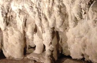 Grottes de Waitomo