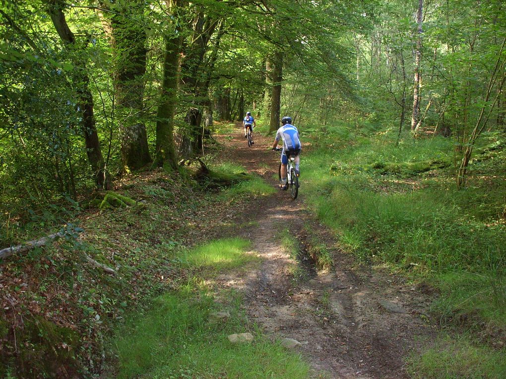 W-end 15 aout 2009, cueillette prunes pour confitures, rando VTT, repas de tout le hameau de Gaudeix