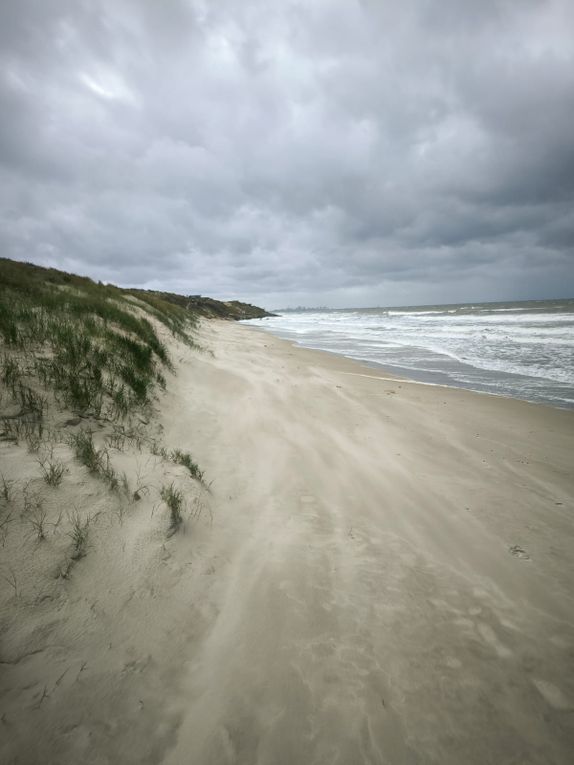 FR24 Discovering the sand dunes