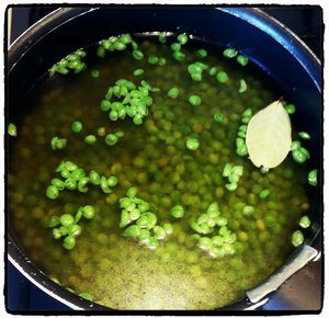 Soupe froide petits pois menthe