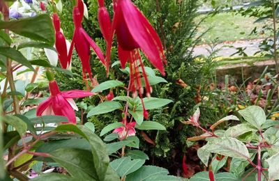 Derniers flash de couleurs: