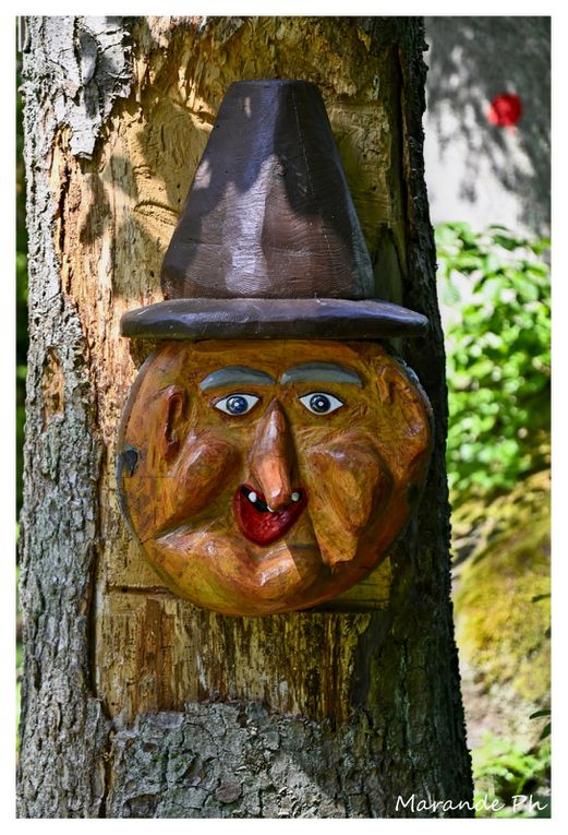 Si vous partez de la table des sorcières (hexentisch) pour descendre à Haegen vous pourrez découvrir de belles sculptures en bois exécutées par un habitant de Haegen