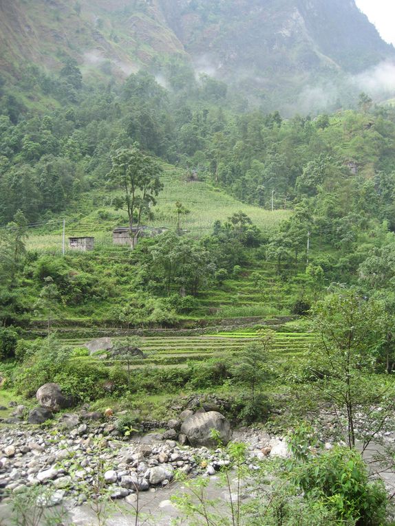 Album - Nepal, trek 3