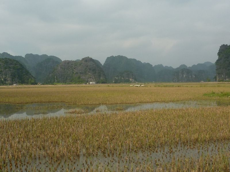 Album - ninh-binh