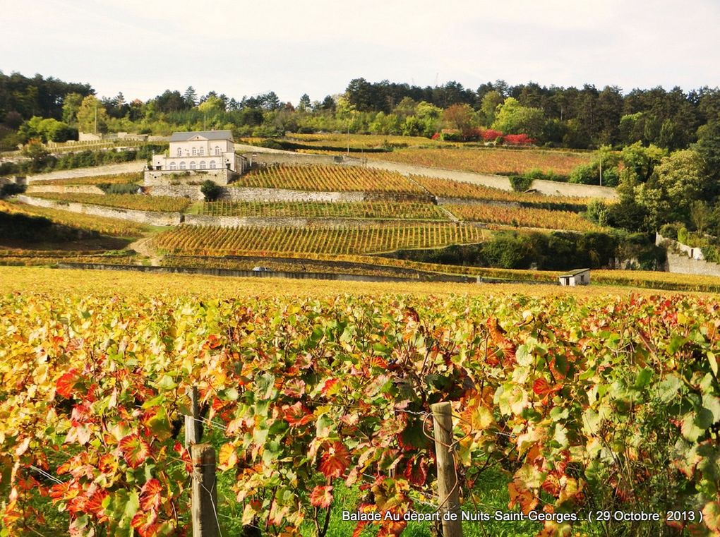 ~Quelques photos de la balade depuis Nuits-Saint-Georges