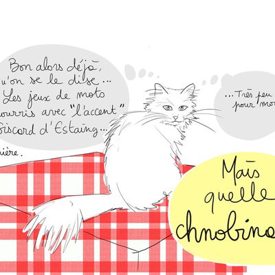 Chat ira pour cette fois. http://t.co/w3EQerXHsc...