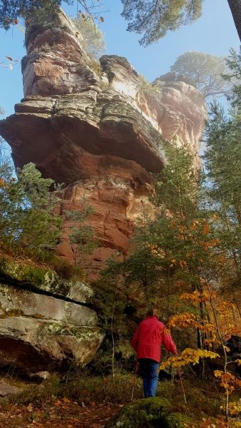 Dambach, rocher de l'Homme et de la Femme, château de Schoeneck 15-11-2017