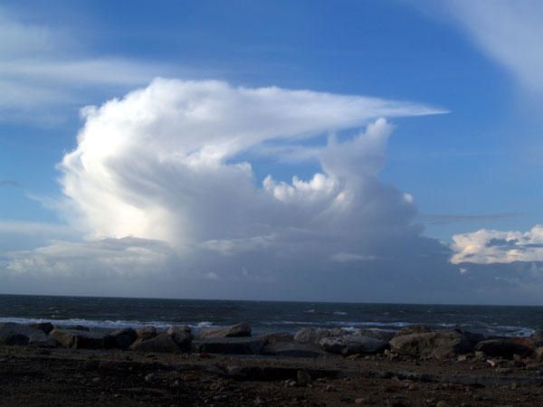 Quelques images de Bretagne au hasard de mes promenades, d&eacute;but d&eacute;cembre 2005