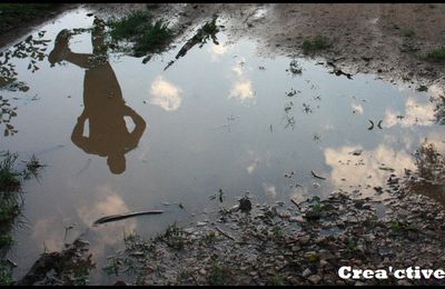 Courir mais après quoi ? [M.]