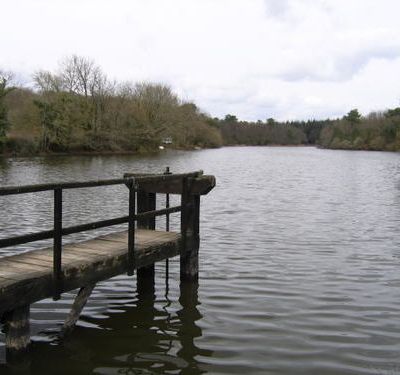 Le ponton de Vioreau