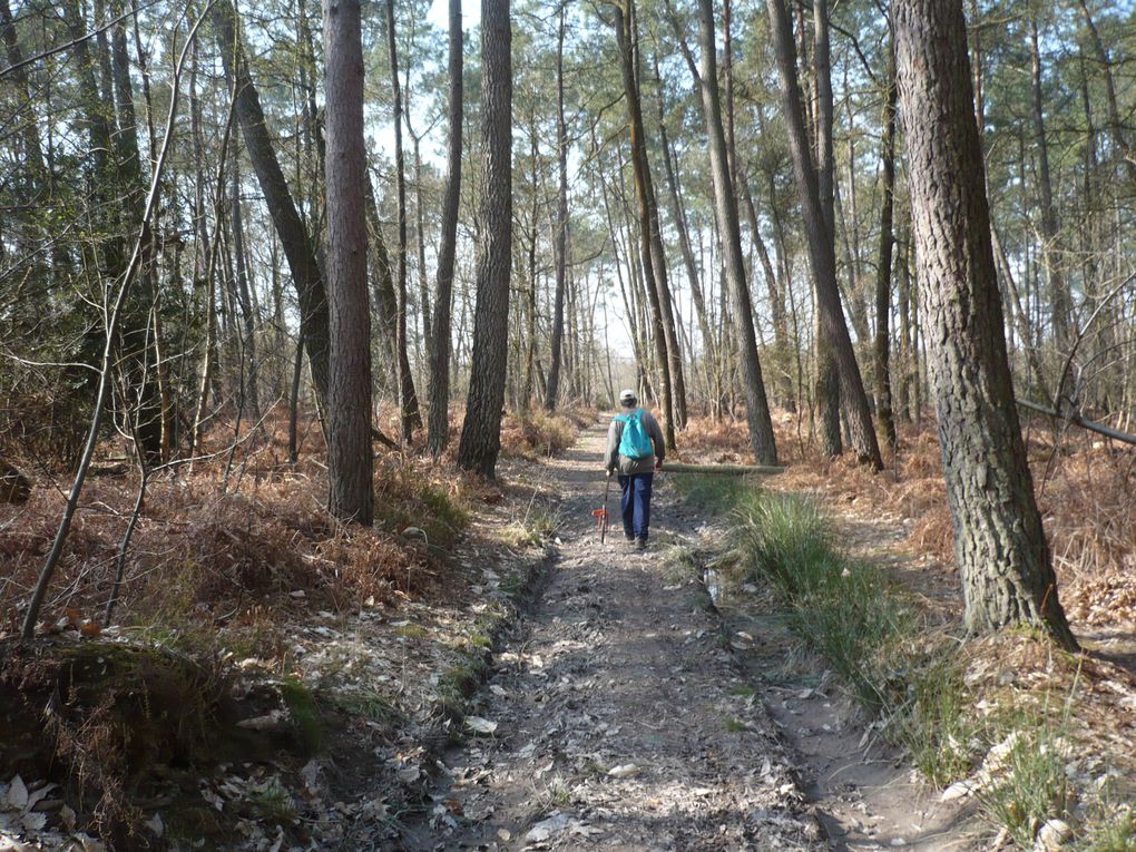 Le parcours de la Ronde des Alpes Mancelles en images