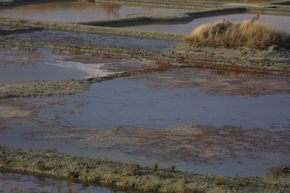 Images des marais salants de Gu&eacute;rande&nbsp;au lever du soleil