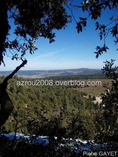 Vues d'Azrou depuis la forêt, couchers de soleil, chênes verts et cèdres de l'Atlas (cedrus atlantica)