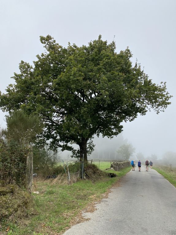 7ème étape : Triacastela - Sarria