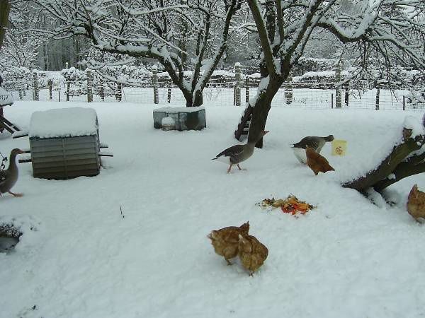 Découvrez notre maison sous 20 cm de neige !