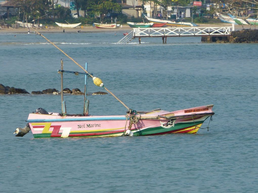 Voyage en Tuk-Tuk