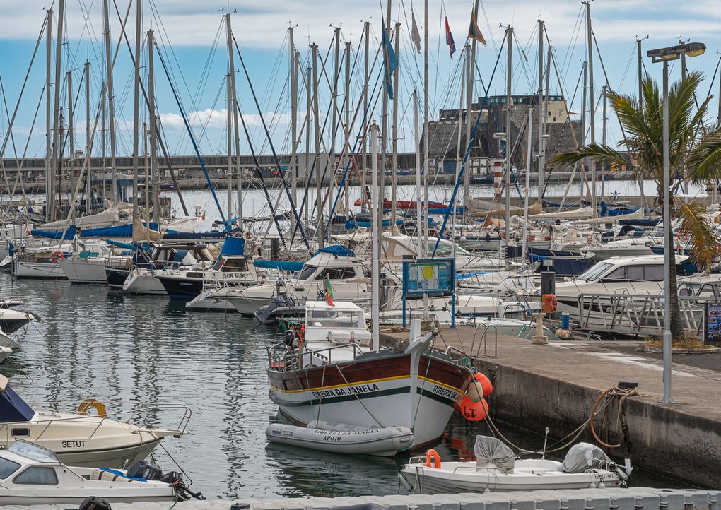 Funchal : Fête des fleurs à proximité du port de plaisance