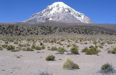 Légende du Sajama