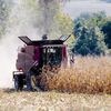 2011, un année agricole toute en contraste