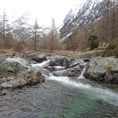 Une sortie avec la neige